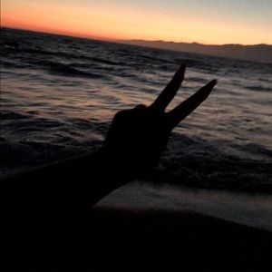 Meet your Posher, Wren